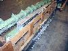  EVAC SYSTEM, 120",